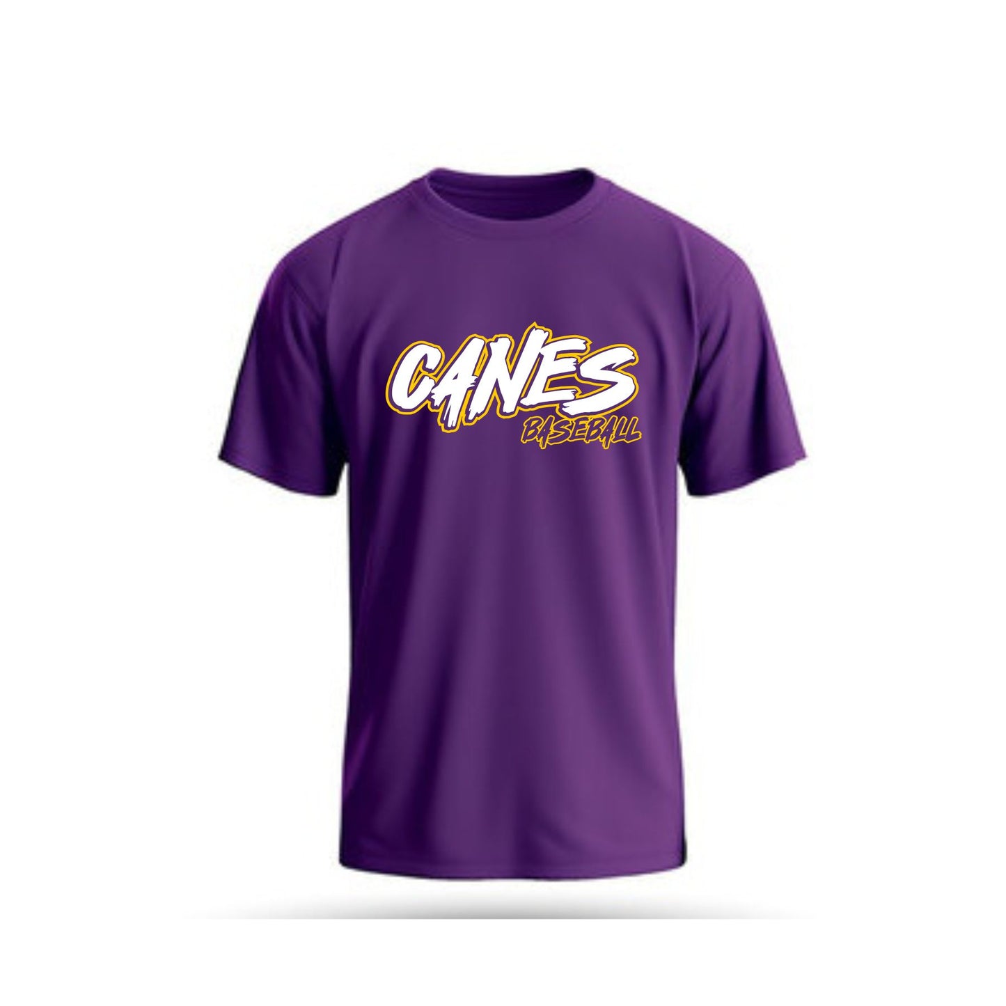 Canes Baseball T-Shirt 01